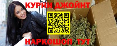молекула духа Камышлов