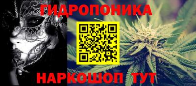 молекула духа Камышлов