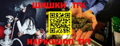 молекула духа Камышлов
