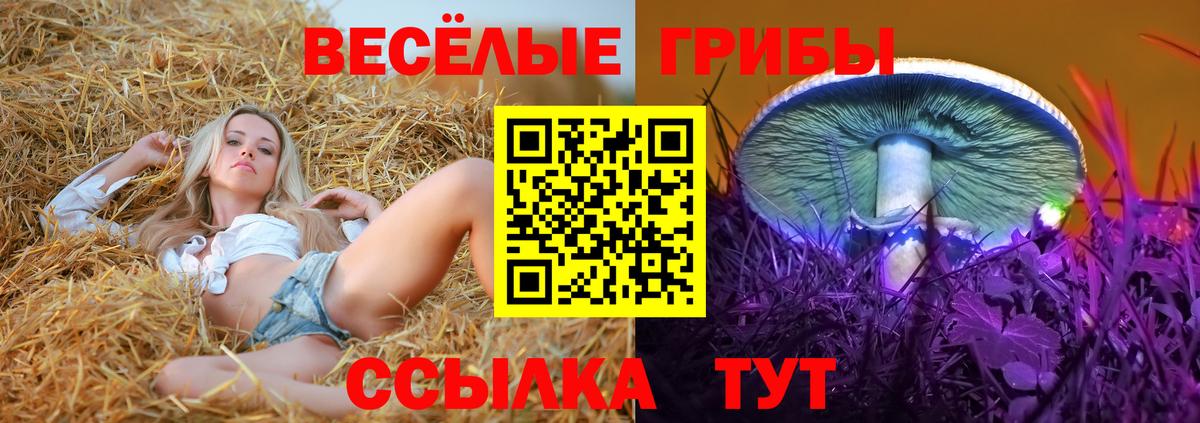 Псилоцибиновые грибы GOLDEN TEACHER Кулебаки