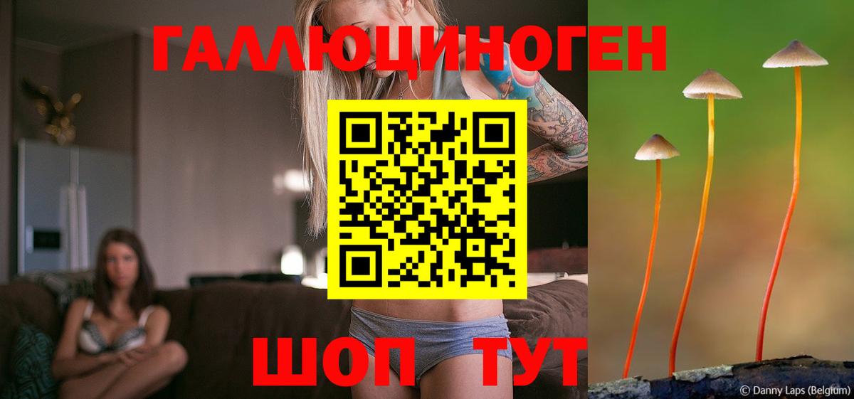 Псилоцибиновые грибы Psilocybine cubensis  Вход с VPN  Псилоцибиновые грибы Psilocybe  Кулебаки 